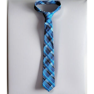 Men’s Vintage Necktie By Strawbridge Clothier Blue, Brown, Beige